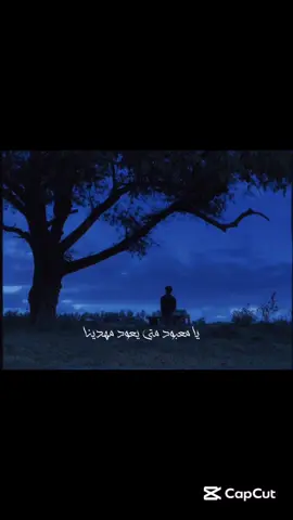 يمعبود متى يعود مهدينا!!  #اللهم_عجل_لوليك_الفرج  #السلام_عليك_ياصاحب_الزمان  #باسم_الكربلائي  #قصائد_حسينية  #تصميم_فيديوهات🎶🎤🎬  #لايك #مشاهدات 