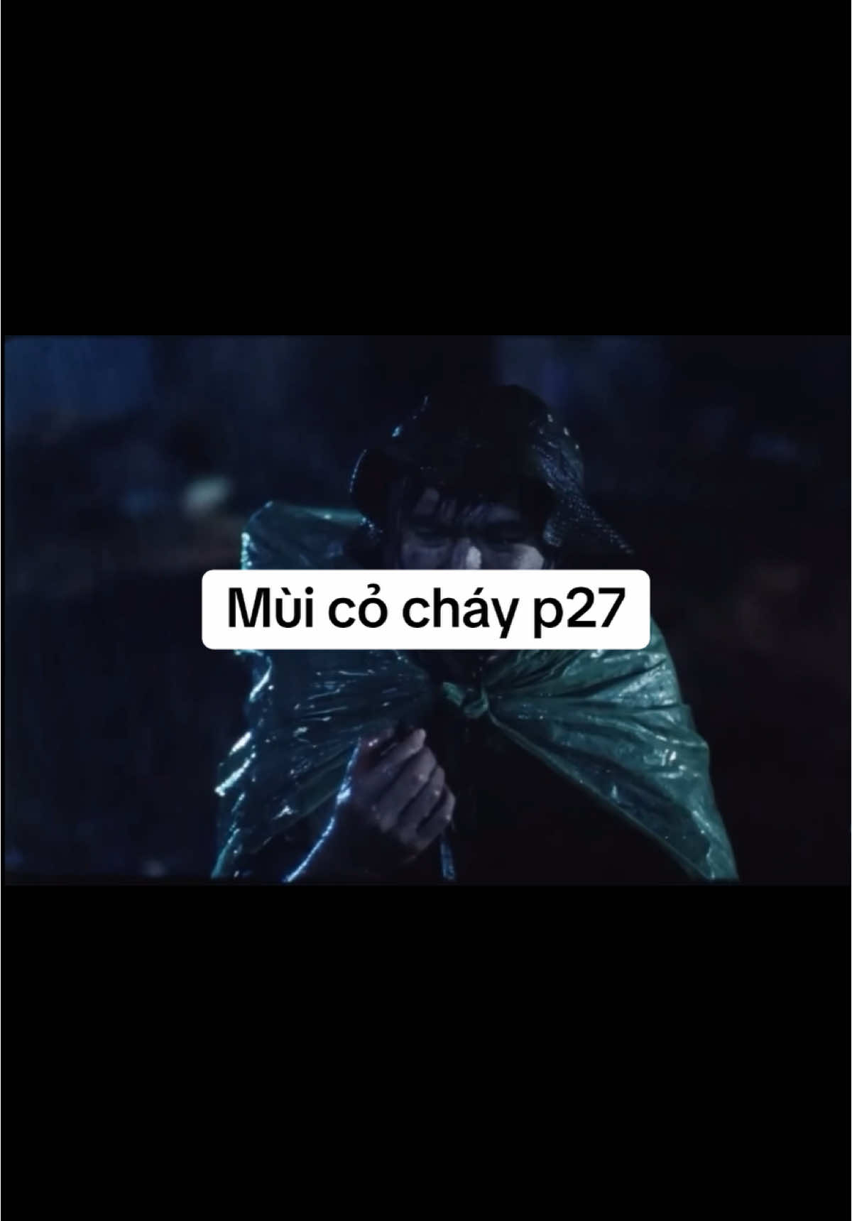 P27: Mùa hè đỏ lửa năm 1972 đã thành ký ức😢😢😢 #muicochay #giaiphongmiennam3041975 #giaiphongmiennam #vietnamhochiminh #phimcachmang #trending #xuhuong 