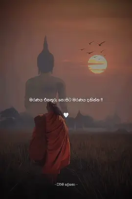 මරණය එනතුරු නොසිට මරණය දකින්න..! 🤍🙏 . . .#ධර්මදානයක්_වේවා #නමෝ_බුද්ධාය🙏🙏🌸 #බුදුසරණයි_හැමෝටම☸️♥️🙏 #සියලු_සත්වයෝ_නිදුක්_වෙත්වා #සියල්ල_හැරදා_යා_යුතුය #සබ්බ_දානං_ධම්ම_දානං_ජිනාති #viral #viralvideo #fyp #tiktok #srilanka  
