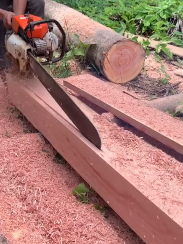 #operator #logging #woodenboard #creatorsearchinsights #splittingwood #stihlchainsaw #chainsawskills #wood #timber #treecutting #sawyer #lumberjack #chainsawskill #treecuttingmachine #woodchopping #Treecut #chainsawmill 
