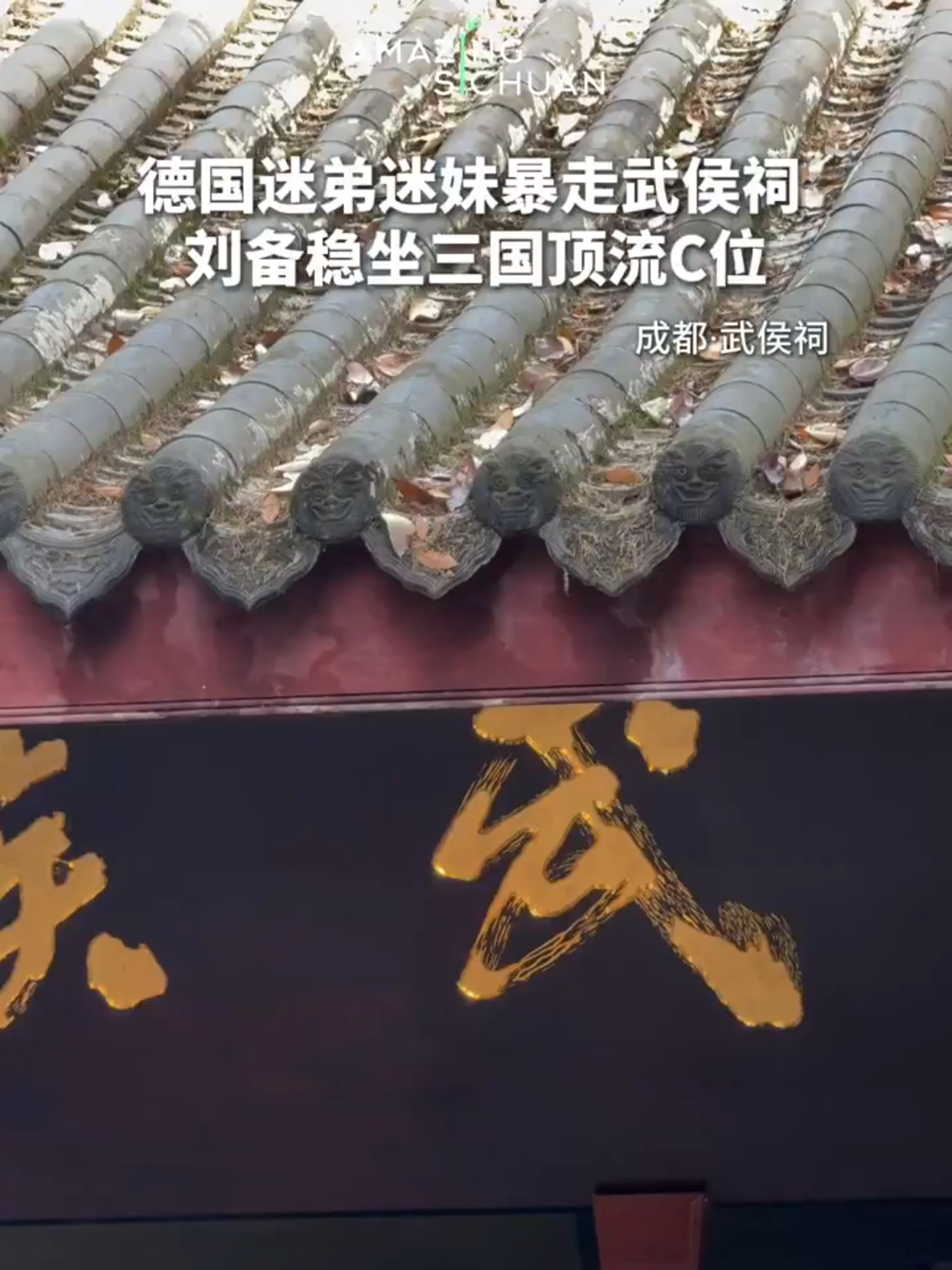 Who’s the Most Beloved Hero of the Three Kingdoms? Liu Bei rules the stage as the top-tier icon!#China #Germany