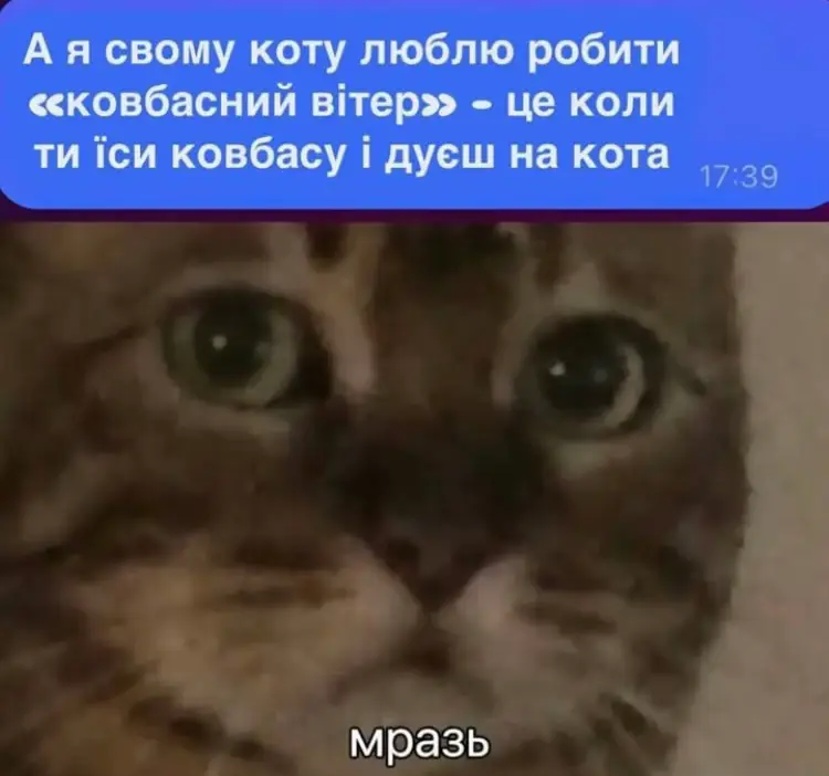 #меми #гумор #мем 