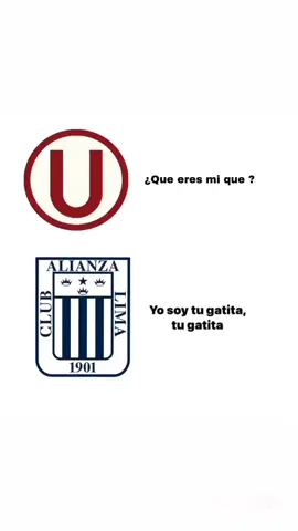 #pinchetiktokponmeenparati😘 #tiktoknoflop😔 #paratiiiiiiiiiiiiiiiiiiiiiiiiiiiiiii #universitariodedeportes 