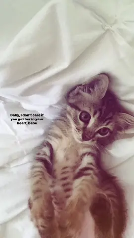 #lyrics 