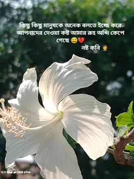 #সাপোর্ট_করলে_সাপোর্ট_পাবে #viraltiktok #viralvideo #fypppp #foryoupage #😍🥰😍🥰😍🥰😍🥰😍🥰🥰🥰 