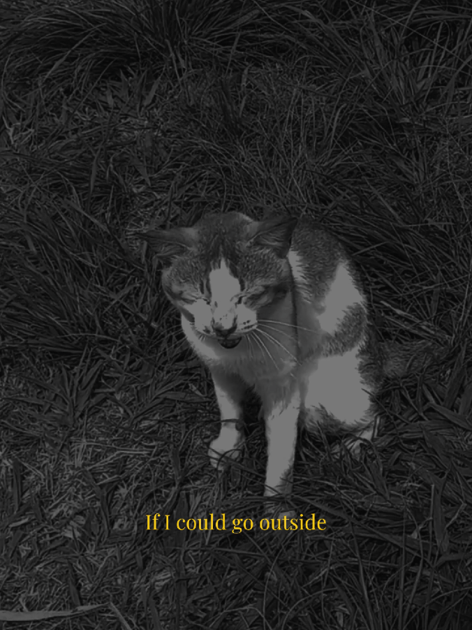 But you're not. #minova #lyricsvideo 