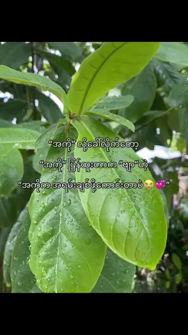 😭💞 #foryou #fyp #hello_i_yumi #yumi6 #အကို့ကိုယ်ကြုးမယ်🤭 