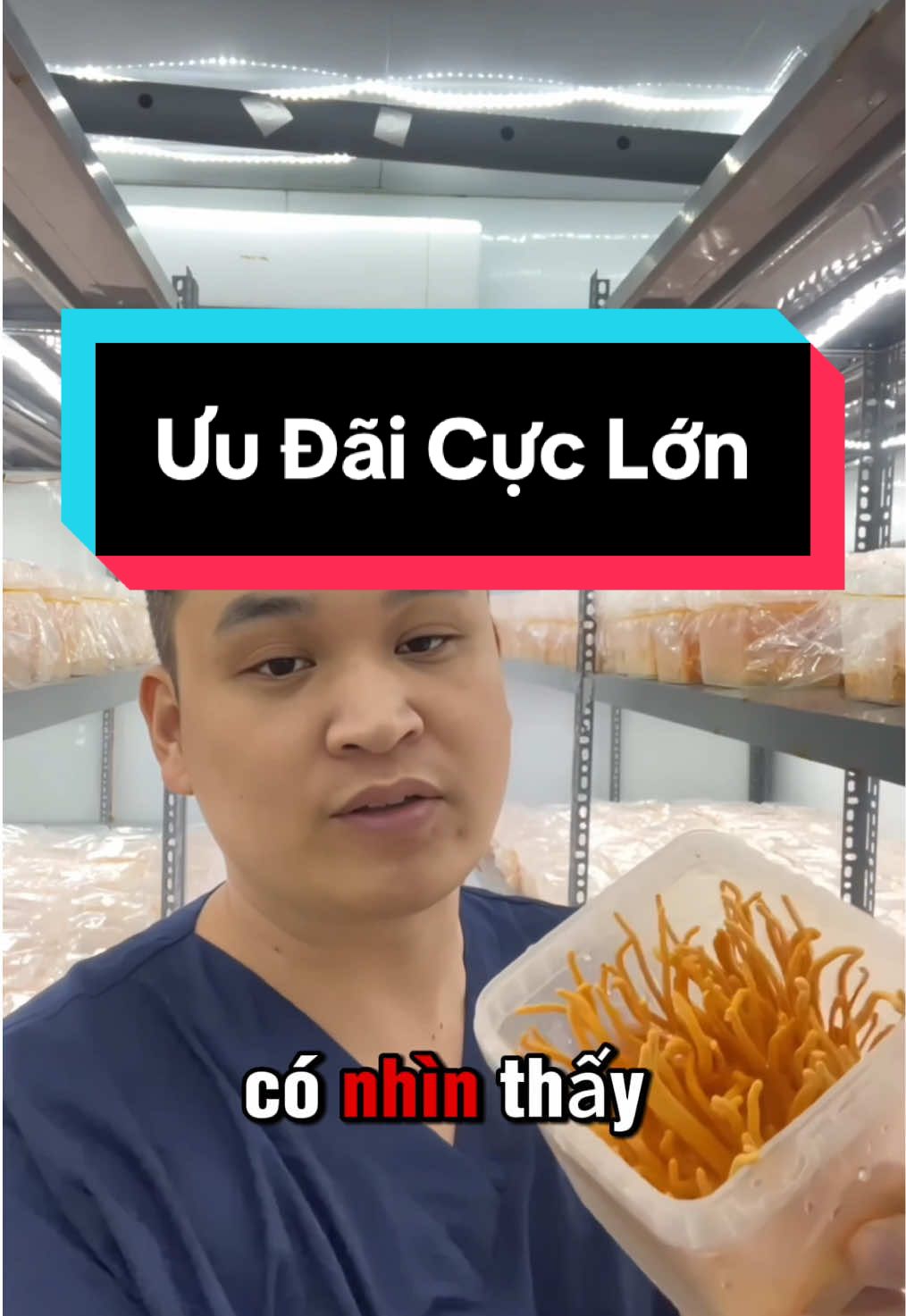 Phần 8 | Thời Gian Phát Triển Của Nấm Đông Trùng Hạ Thảo #tutruyenthong #hopdongtrung #dongtrunghathao 