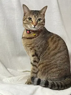 おろおろ