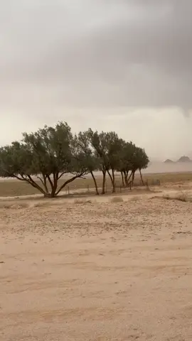 #رابح_صقر 