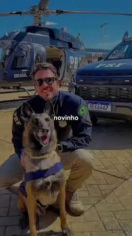 Pega essa dica #evandroguedes #concurseiropolicial #policia #federal #militar #prf #pf #pm 