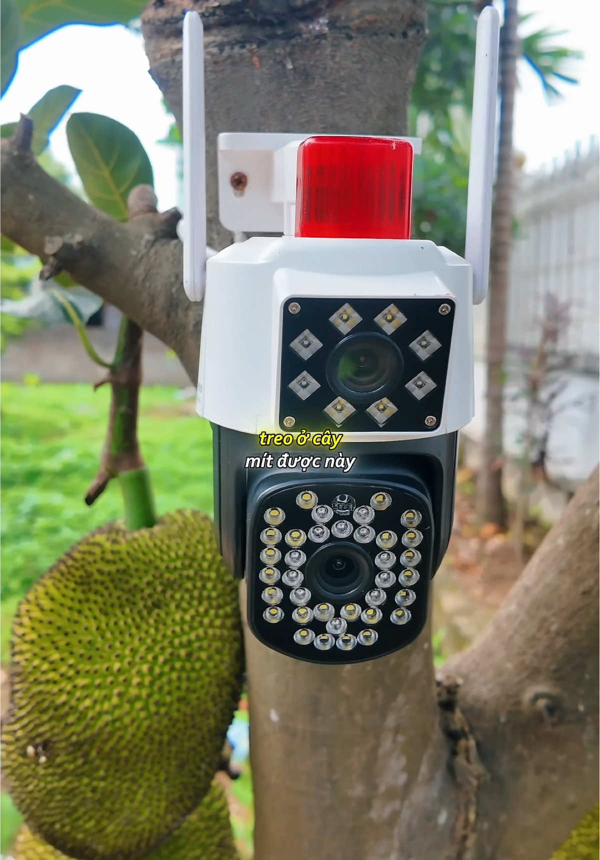 Camera treo ở bất cứ đâu cũng được. Tiện thật #khanghatay #camera #camerayoosee #camera2mat 