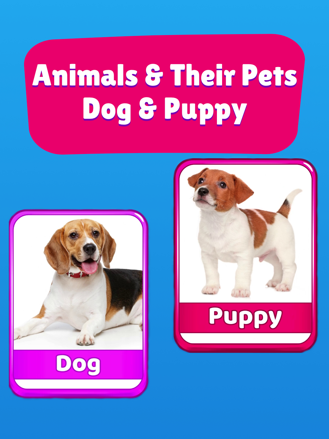 Animals & Their Babies Ep. 3: Dog & Puppy! 🐶🐾 Woof woof! 🐶 Episode 3 is here - and it’s all about the Dog & Puppy duo! 💛 #animalsandtheirbabies #learnwithtiktok #funlearning With fun animations, playful sounds, and adorable visuals, this cartoon-style video makes learning super fun for kids! 🎨✨ Let’s keep exploring the world of animals and their babies - one wag at a time! 🐕🎉 🎥 Tap ❤️ if you love puppies & follow for the next cute pair! #LearnOnTikTok #cutepets #animalsandpets #wildlife #adorableanimals #amazinganimals #prekteacher #dogsoftiktok #dogsofttiktok #dogsoftiktokviral #foryoupage #learnenglish #generalknowledge #knowledgeispower #firstgradeteacher #animalsoftiktok #babyanimals #animalsworld #cutepets #cuteanimals #EduTok #tiktokforkids #toddlertok #viralvideos #foryoupage #lucasandfriends