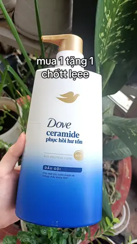 Phục hồi tóc hư tổn, mang lại tóc chắc khoẻ 10x #lamdep #lamdepkhongkho #daugoi #dove #xh 
