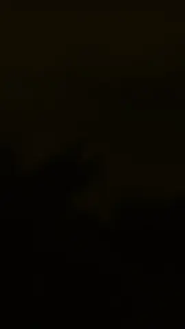 #CapCut 