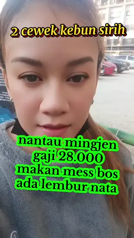 kebun sirih minat wa#jobs #tkiindonesia #fyppppppppppppppppppppppp #wongjowo #jandanantau #musicviral #musicviral #tkitaiwan #rantau #rantautaiwan🇮🇩🇹🇼 #semua #tki 