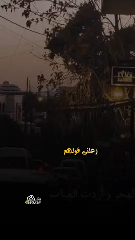 #في_سيرتي_جابو_غلطوا_وعابوا 🤷‍♂️👌