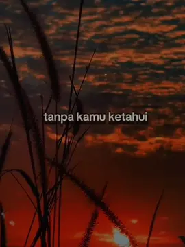 #storykatakata #storyaesthetic #story 