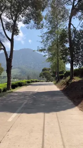 jalan menuju penginapan segitiga #kebunteh #penginapanpangalengan #campingpangalengan 