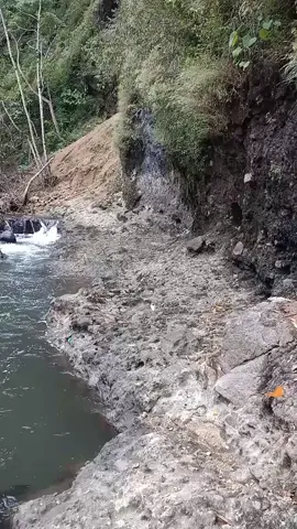 sekarang kupu-kupu langkah #kupu #kupukupu #berpetualang #hutan #sungai #sungaipetani #lucu #soundlucu #soundkupukupu #kupukupuwarnawarni #nyanyilucu