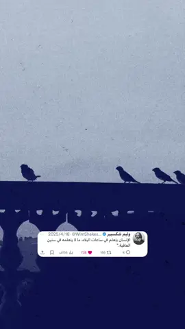 #محتوى #شعر_عراقي #حكم #امثال 