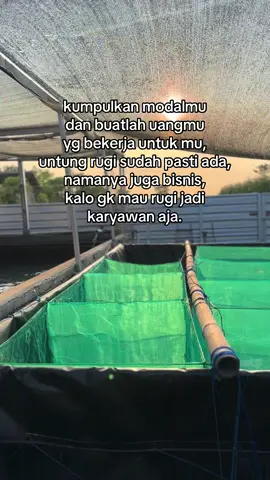 semangat bolo🤲🏼💪🏼 #rajalelesitubondo #pengusahamuda #bosmuda #motifasi #lelefarm #katakatamotivasi #panenlele #pembisnismuda #lelekonsumsi #pengusahasukses #perikananindonesia #peternakmuda #ikanlele #fyp 