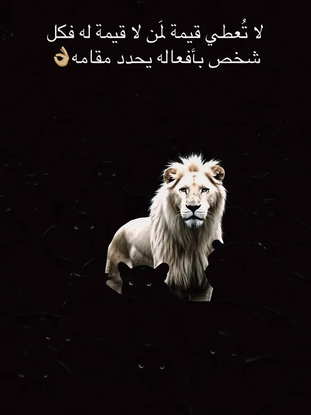 #standwithkashmir #شقيب_السلام_رهط_حوره_كسيفه_تل_السبع🕊 #عرعره_النقب_رهط_كسيفه_شقيب_تل_السبع 