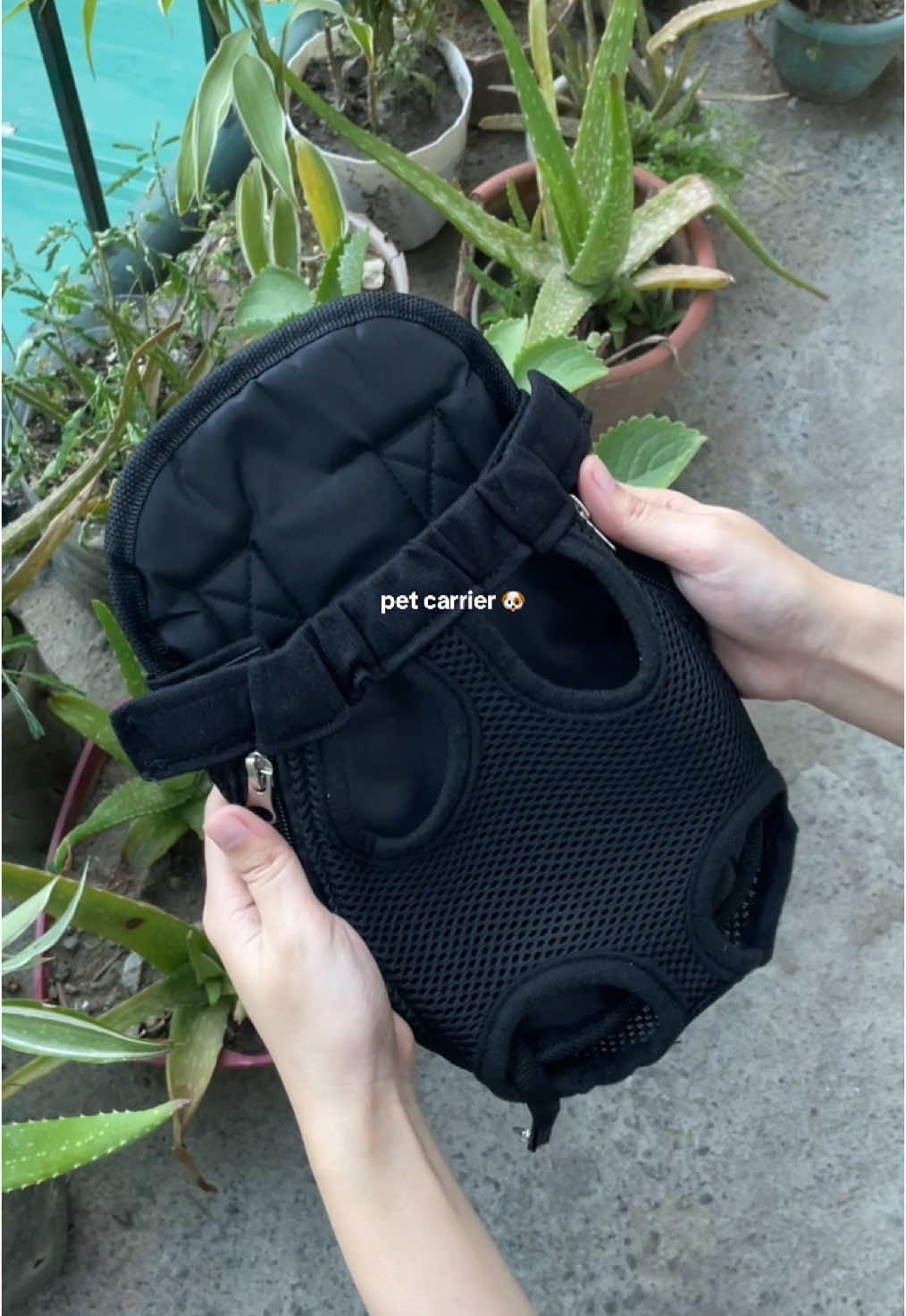 Affordable and must have pet carrier 🥰🐶 #petcarrier #petcarrierbag #dogcarrier 