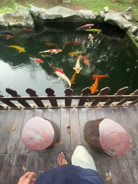lưu video ghi cap đi mn#chill 