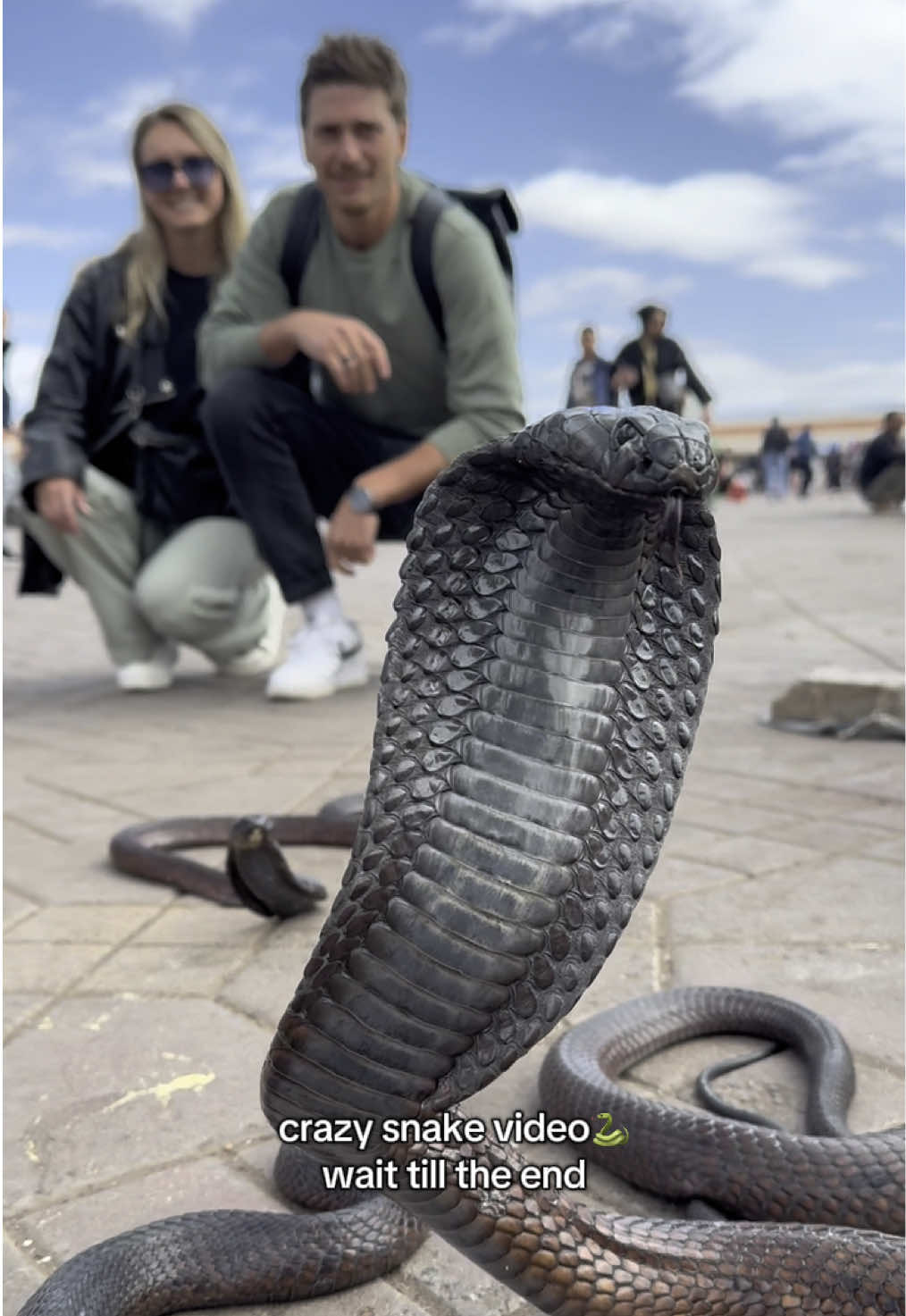 🐍 Jemaa el-Fnaa #snake #snakesoftiktok #jemaaelfna #market #marrakech #marrakechtiktok #medina #marrakechcity #schlange #fy 