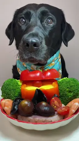 C’est l’heure pour dondon de manger😊😊 #animal #dog #chien #manger #france🇫🇷 