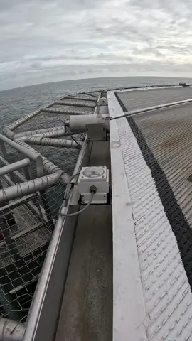 #resque #offshore #norgvarg #tiktoksea 