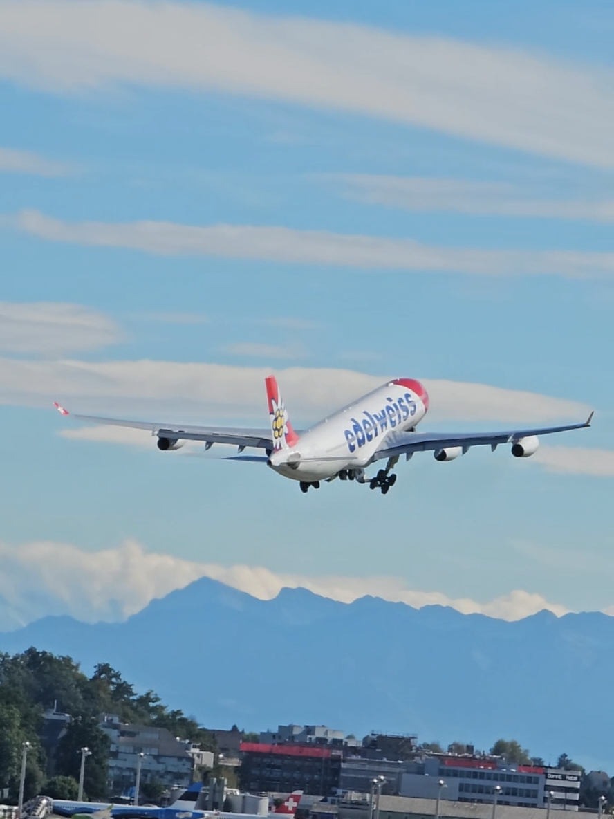 ✈️ That sound. That climb. Nothing beats a heavy A340 departure! Agree or not?🤔 ✈️#A340 🔥#HeavyTakeoff ⚡#JetEnginePower ❤️‍🔥#AvGeek 🇨🇭#EdelweissAir ☁️#CloudChaser 🛫#AircraftLovers 🚀#PlaneSpotting 🎥#AviationVideo 🌍#AviationWorld 📸#AirplanePhotography 🎧#JetSound 🧠#AviationAddict 👀#PlanePorn 📍#ZRHspotting ⭐#AviationDaily ✈️#TakeoffPower 🛩️#WidebodyJet 📊#ForYouAviation 🗣️#commentyourthoughts 