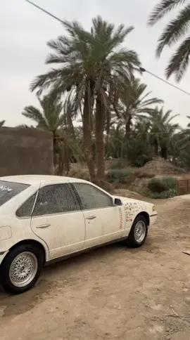 #كَنـــــــٌوُنـــــــٌ🖤👍 #سعوديه🇸🇦يمن🇾🇪بحرين🇧🇭قطر🇶🇦مغرب🇲🇦سوريا🇸🇾 #اصايل_العراق_سماوه_بصره_دوانيه_بغداد💞🍃 @سجاد ال كاظم @حسوني التيما @سجاد الشمري @صـفـاويـي💞🤍💕 