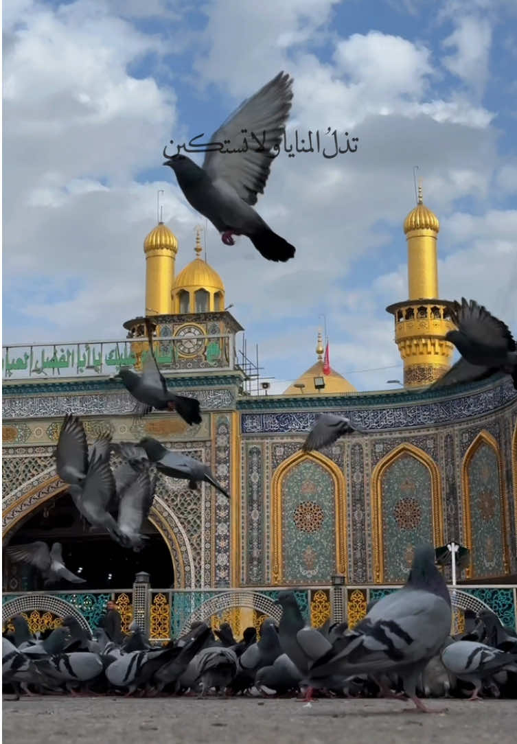 أبـا الـفَـضـلِ يـا فارساً لا يَلين تُذِلُّ المَنايا ولا تَستـكين فـأنـتَ  الـحُـسامُ و أنتَ اللواء #العتبة_العباسية_المقدسة #أجر_الرسالة #الكفيل #مسابقة #العباس #ابا_الفضل_العباس #المؤمنين #العتبة_العلوية_المقدسة #العتبة_الحسينية_المقدسة #العتبة_الكاظمية_المقدسة #العتبة_الرضوية_المقدسة #العتبة_العسكرية_المقدسة #كربلاء #كربلاء_المقدسة #بين_الحرمين #اكسبلور #ترند 