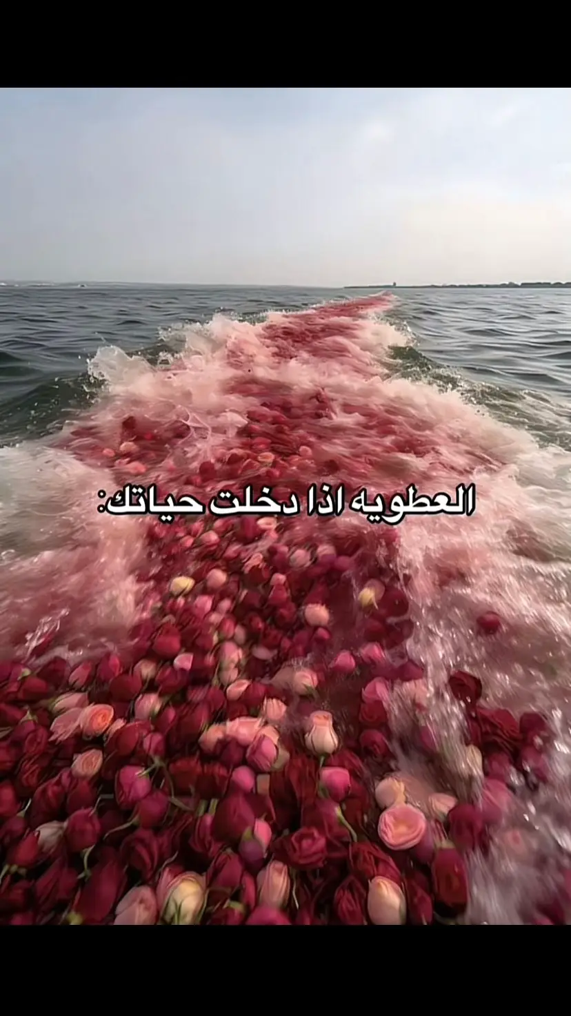 #explore #اكسبلورexplore #foryou #4u #مالي_خلق_احط_هاشتاقات #الشعب_الصيني_ماله_حل😂😂 #العطوي #بني_عطيه #تبوك #meme #السبوت 