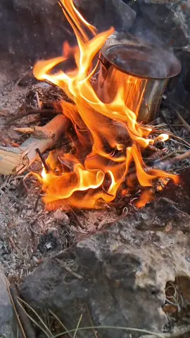 ويلي 🔥☕️❤️ #قهوه#حطب_ونار🔥  #fyppppppppppppppppppppppp  #fypシ゚ #like #axplor 