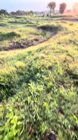 Cakung (cuaca mendukung) #onelove #bobmarley #andasopankamiyoman❤️💛💚 