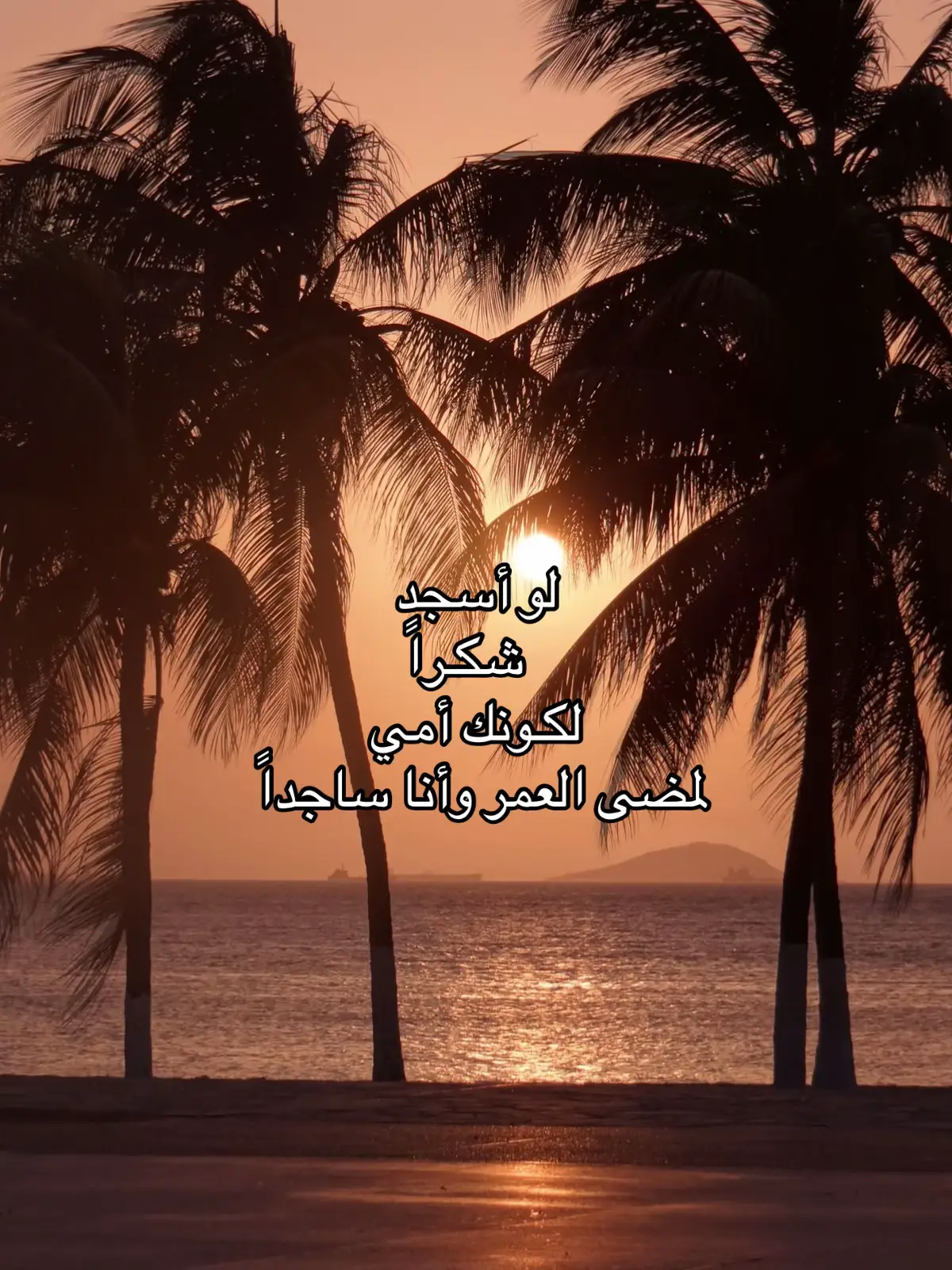 #fyp #foryou #viral 