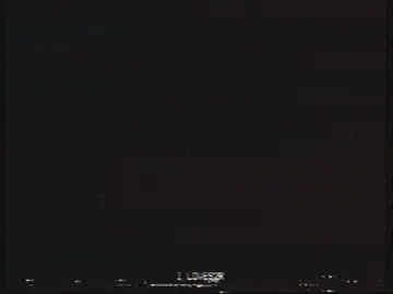 وحيدا