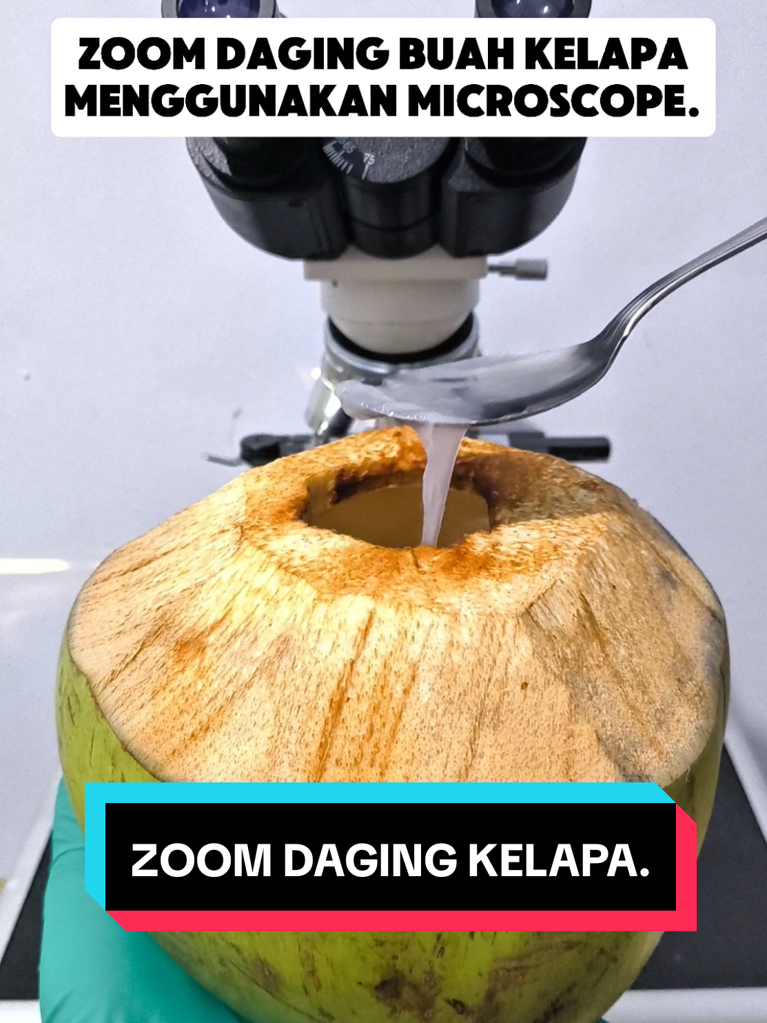 zoom daging buah kelapa, selain seger ternyata manfaatnya luar biasa man teman. #fypシ゚ #viral #eksperimen #microscope #buah #kelapa #tiktok #capcut #foryou 