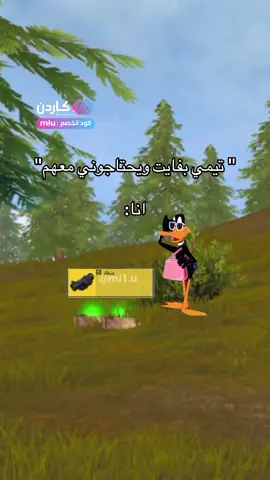 #مياو_ببجي #gamingmemes 