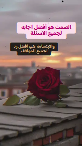 #الصمت_لغة_العظماء #عبارات_جميلة🦋💙 #فولو🙏🏻لايك❤️اكسبلور🙏🏻🌹💫 