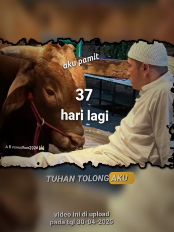 37 hari lagi buat besok cuyy 🙏🏻#iduladha #iduladha2025🕌☪️ #areyuredy? #foryou #37harilagi #irfanhakim #fyp 
