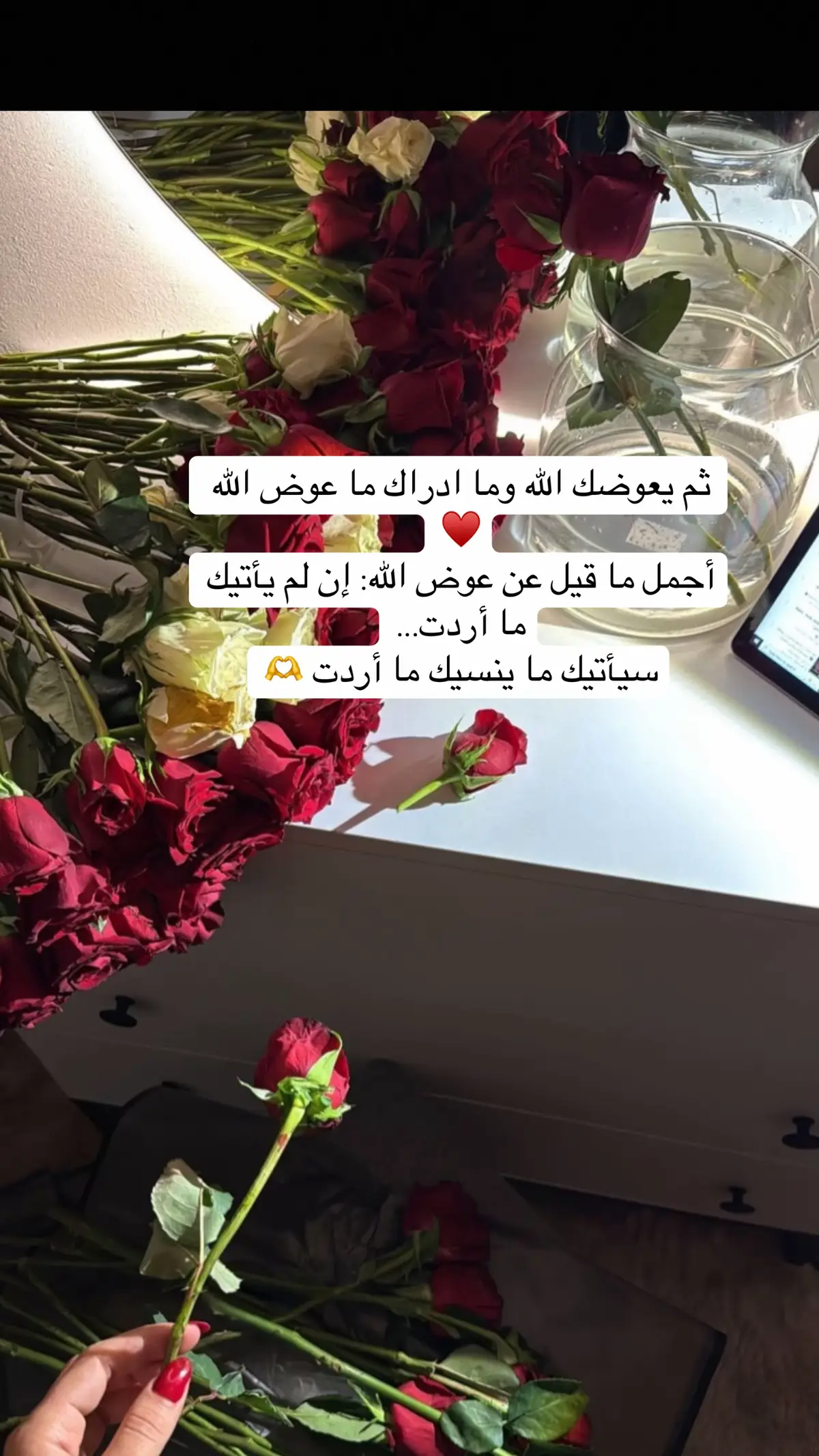 اللهُم العوض الجميل بعد الصبر الطويل، اللهُم درباً لا تضيق به الحياة، وقلباً لا يزول منه الأمل، وفرحة لا تذبل ولا تموت ابدا 