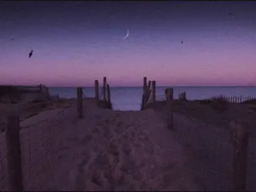 алла пугачева - «позови меня с собой» #щп #lyrics #футажи #текстпесни #звукидлялипсингов #звукидлявидео #fyp 