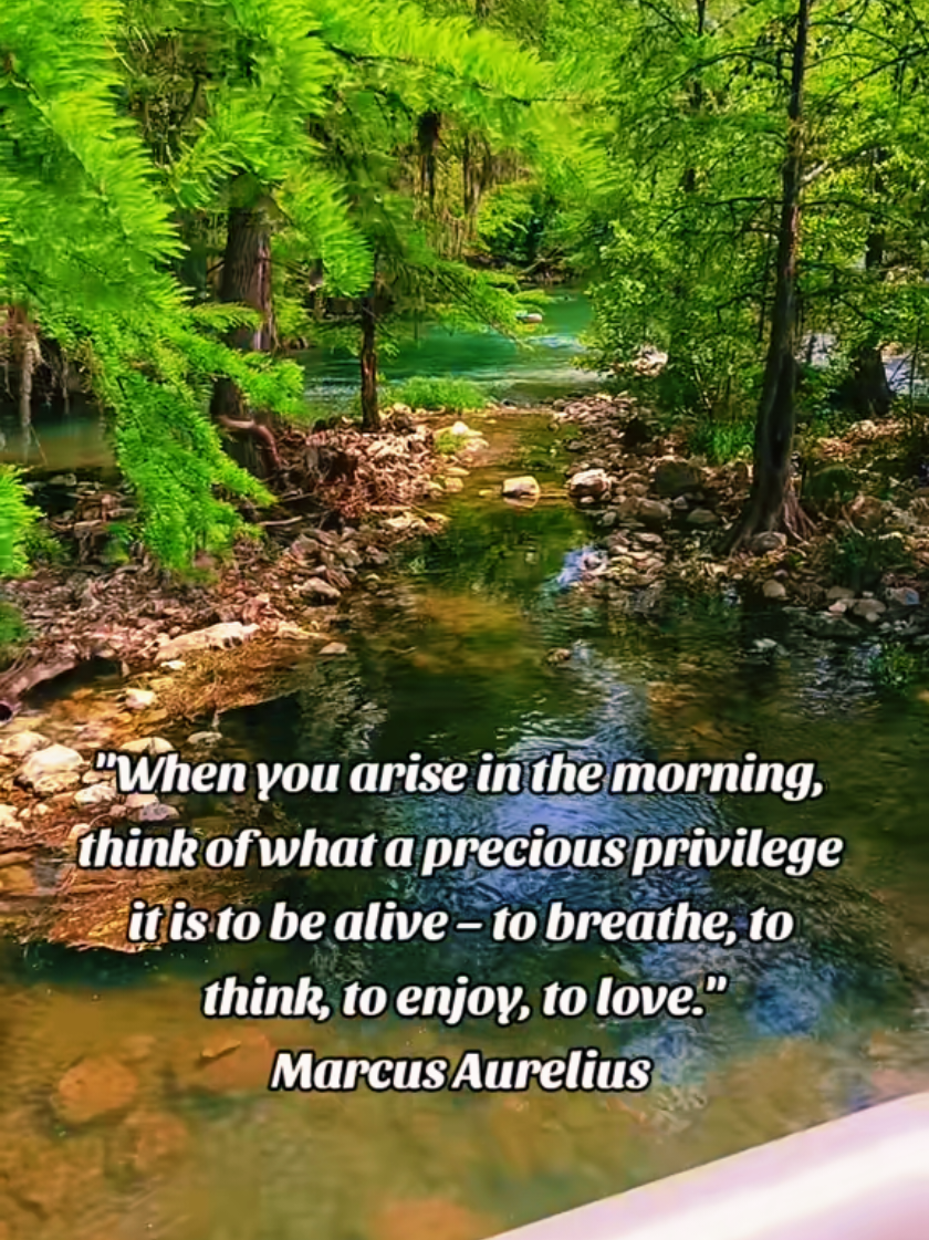 #onthisday #Stoicism #AmorFati #Inspiration #MentalHealth #StoicQuotes #StrengthLiesWithin #believeinyourself #KeepPushingForward #Motivation #MarcusAurelius #TheObstacleIsTheWay 
