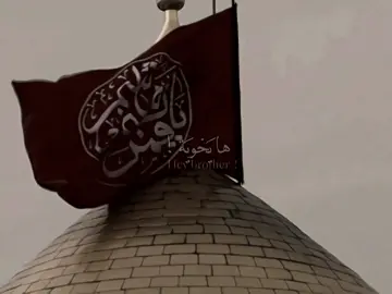 #creatorsearchinsights  ها يخويه عضيدك تركته، محمد باقر الخاقاني ،                         .  .  .  .  .  .  .  .  .  .  .  .  .  . .  .  .  .  .  .  .  .  .  .  .  .  .  . .  .  .  .  .  .  .  .  .  .  .  .  .  .  محمد باقر الخاقاني، #VlRAL  #TlKTOK  #FYP  #FORYOU  #VlRAL  #TlKTOK  #FYP  #FORYOU  #VlRAL  #TlKTOK  #FYP  #FORYOU 
