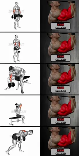 Arm Workout Routine #2workout #biceps #triceps #workout
