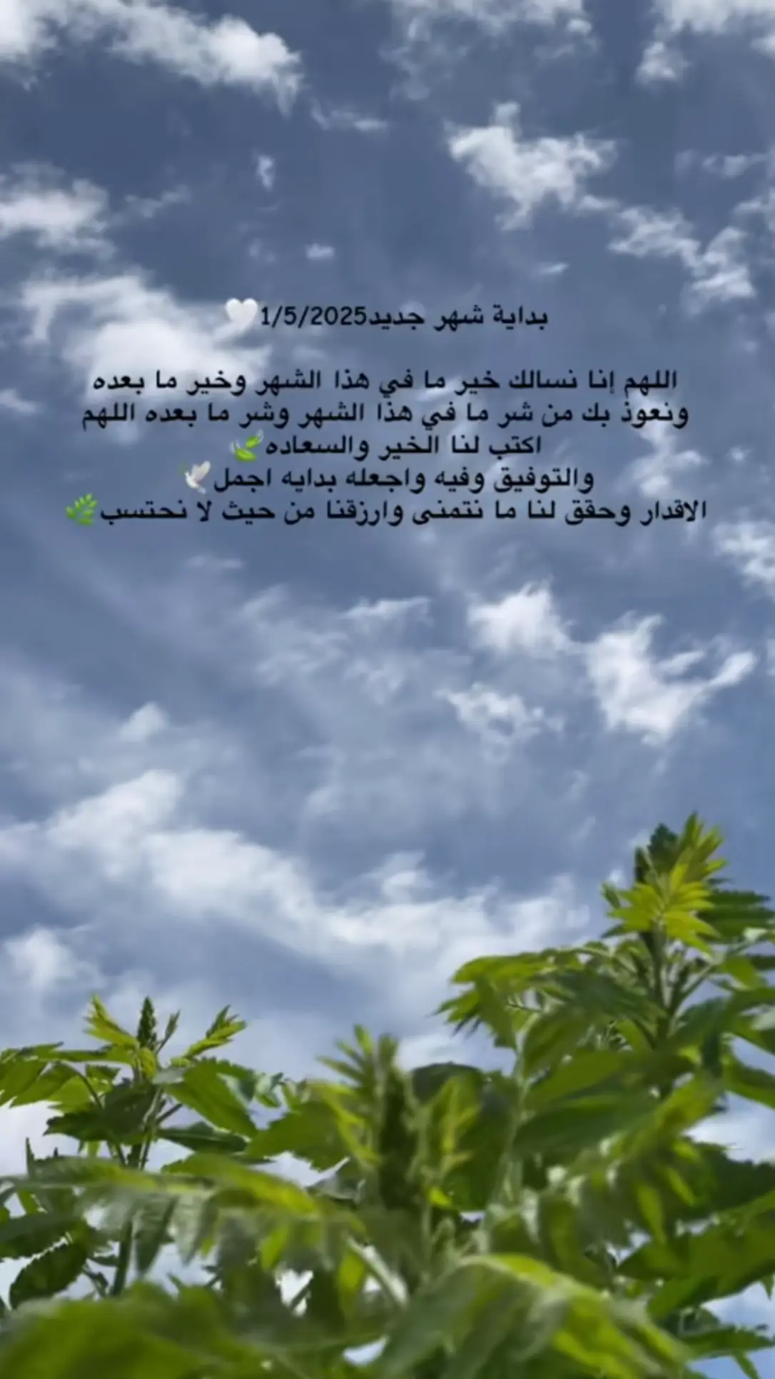 🤍…